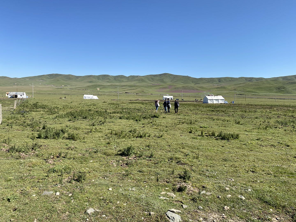 63bba84417fc43b483157ea2ebeec0f5.png 图片4.png