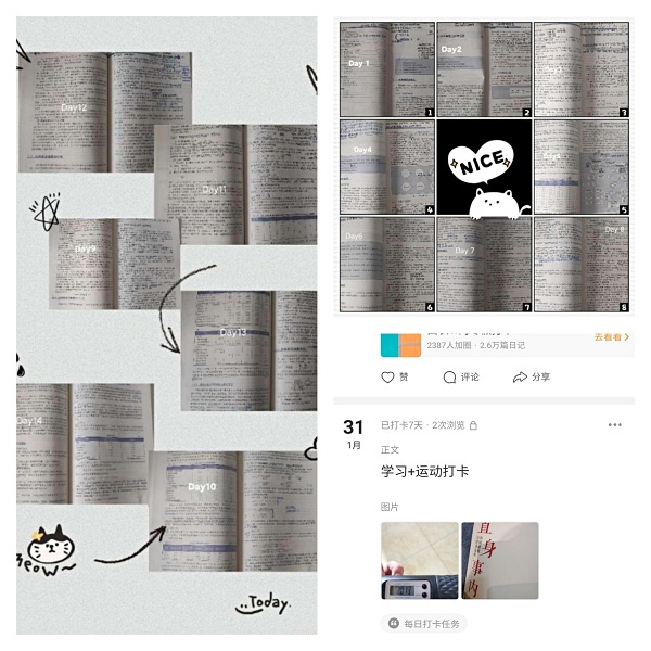 605d313c12284f8abe9006799b006478.jpg 图2.jpg